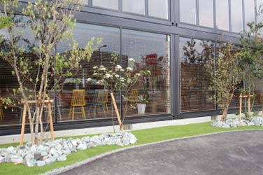 熊本のスペースエージェンシー新社屋植栽